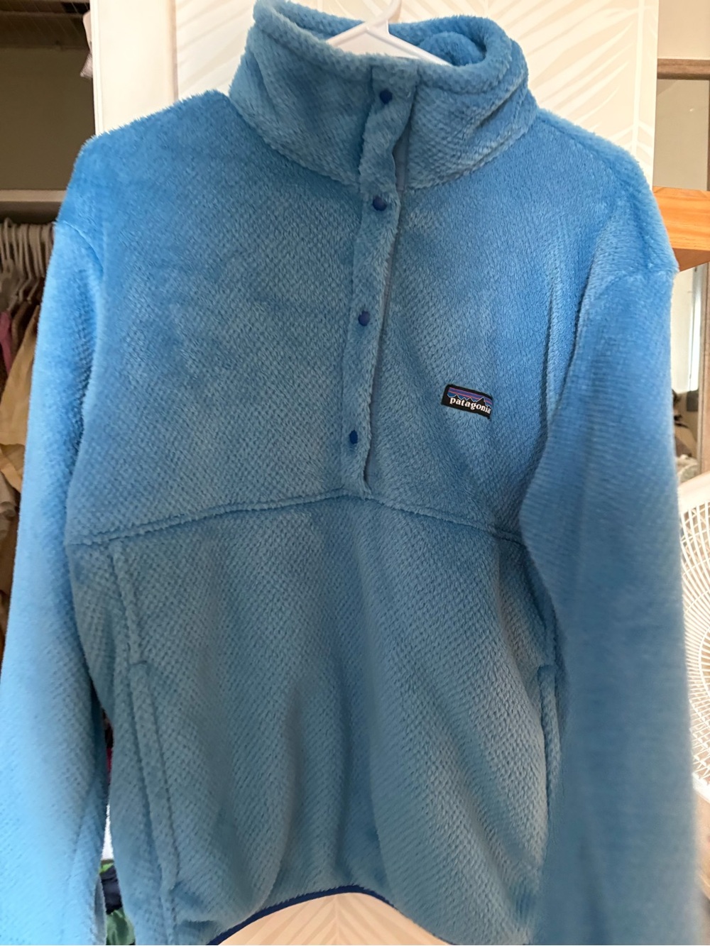 Patagonia Sky Blue Fleece Snap Pullover